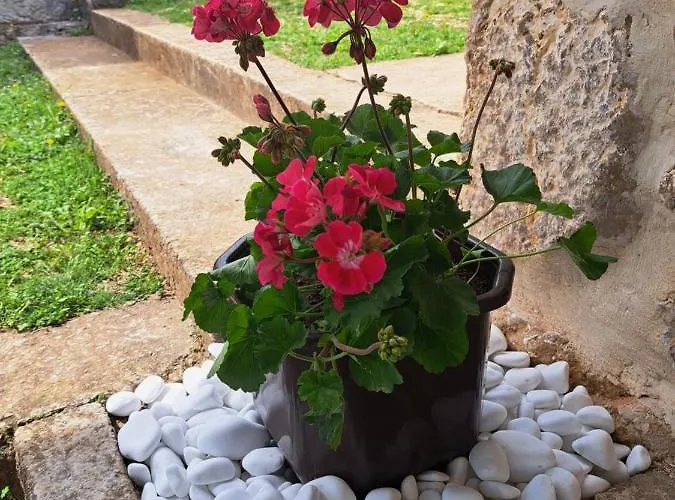 Kuca Za Odmor Dolovi Golubic (Zadar)