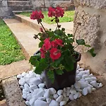 Kuca Za Odmor Dolovi Golubic (Zadar)