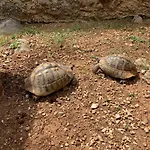 بيت ضيافة Kuca Za Odmor Dolovi