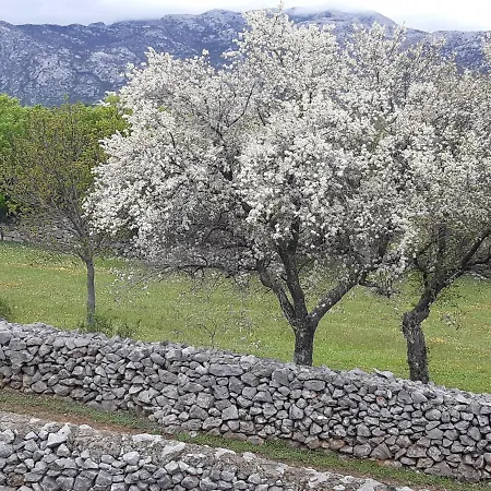 Kuca Za Odmor Dolovi Konukevi