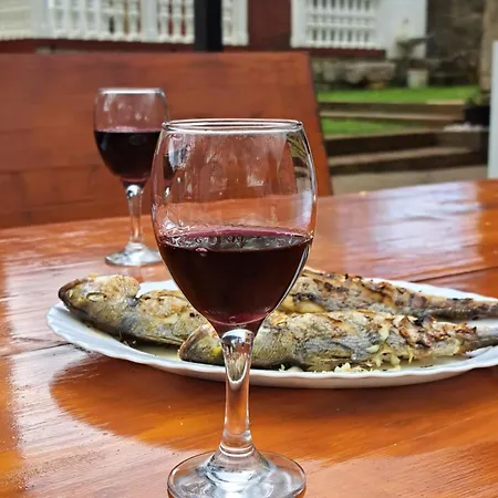 Maison d'hôtes Kuca Za Odmor Dolovi Golubic (Zadar)