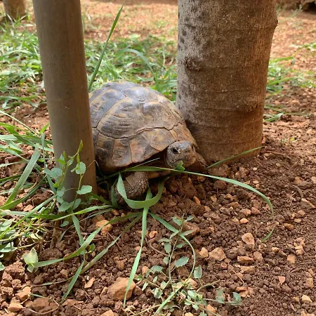 Kuca Za Odmor Dolovi *