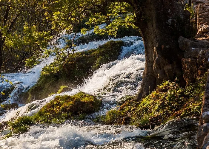 Kuca Za Odmor Dolovi Gostinjska kuća *