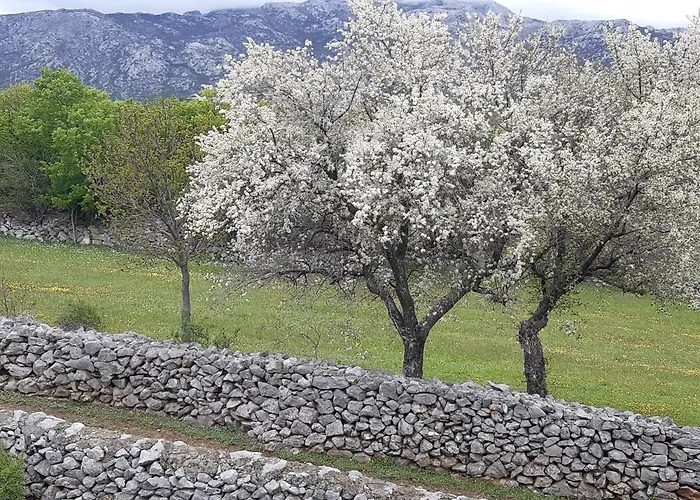 Kuca Za Odmor Dolovi Gostinjska kuća